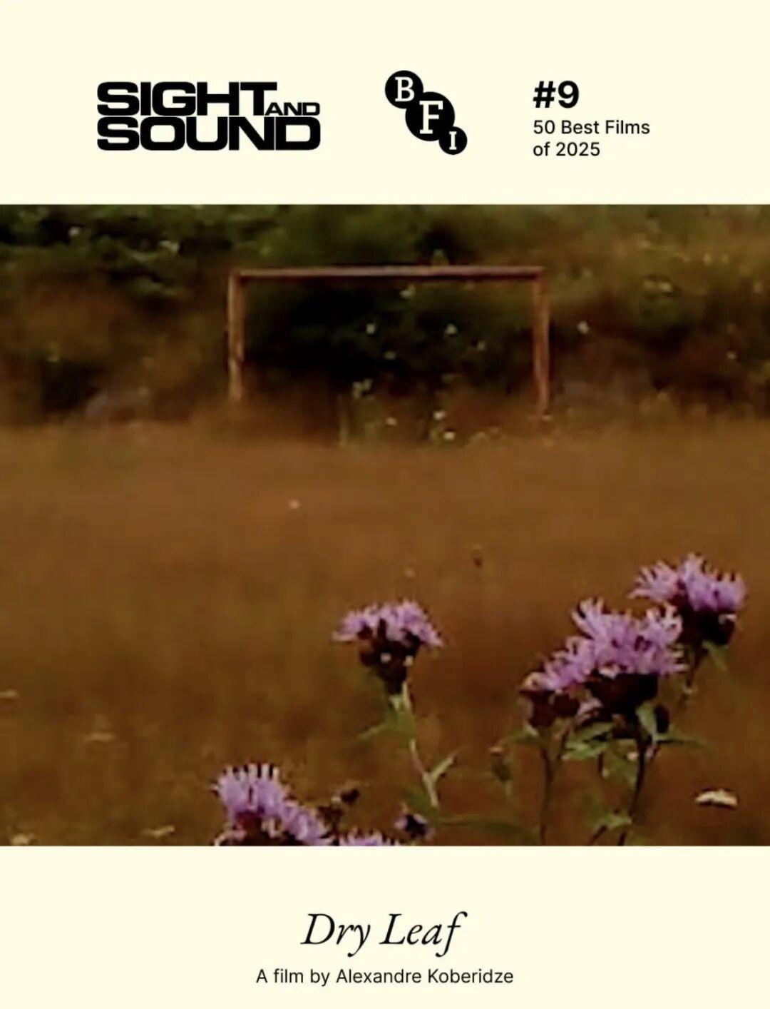 年度焦点！这是你从没见过的独特电影创作封面图