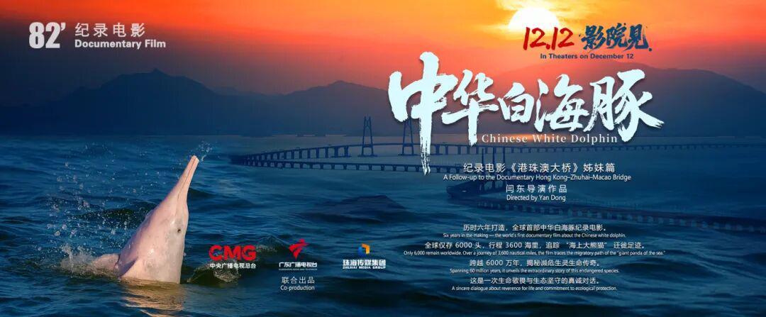 全球首部！六年磨一剑，珠海电影《中华白海豚》12日公映封面图