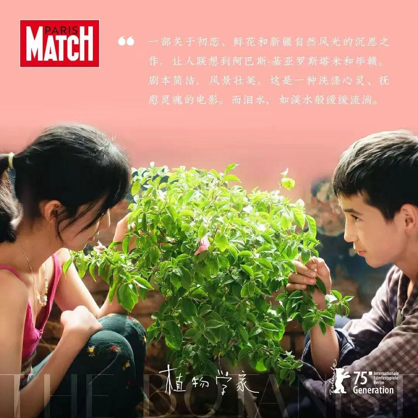 对话制片人单佐龙：如何把华语艺术片送到海外？封面图