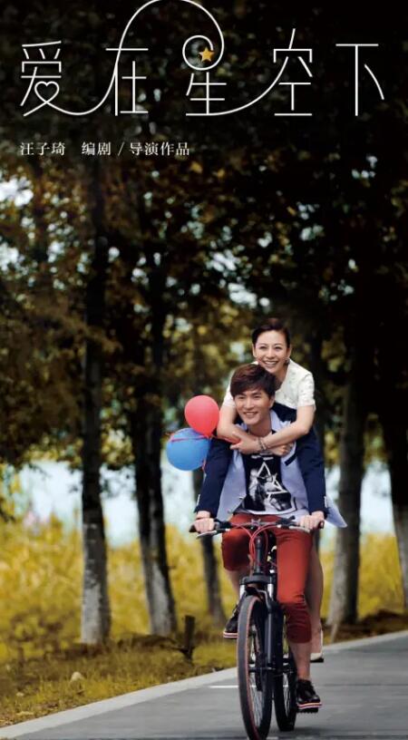 爱在星空下封面图