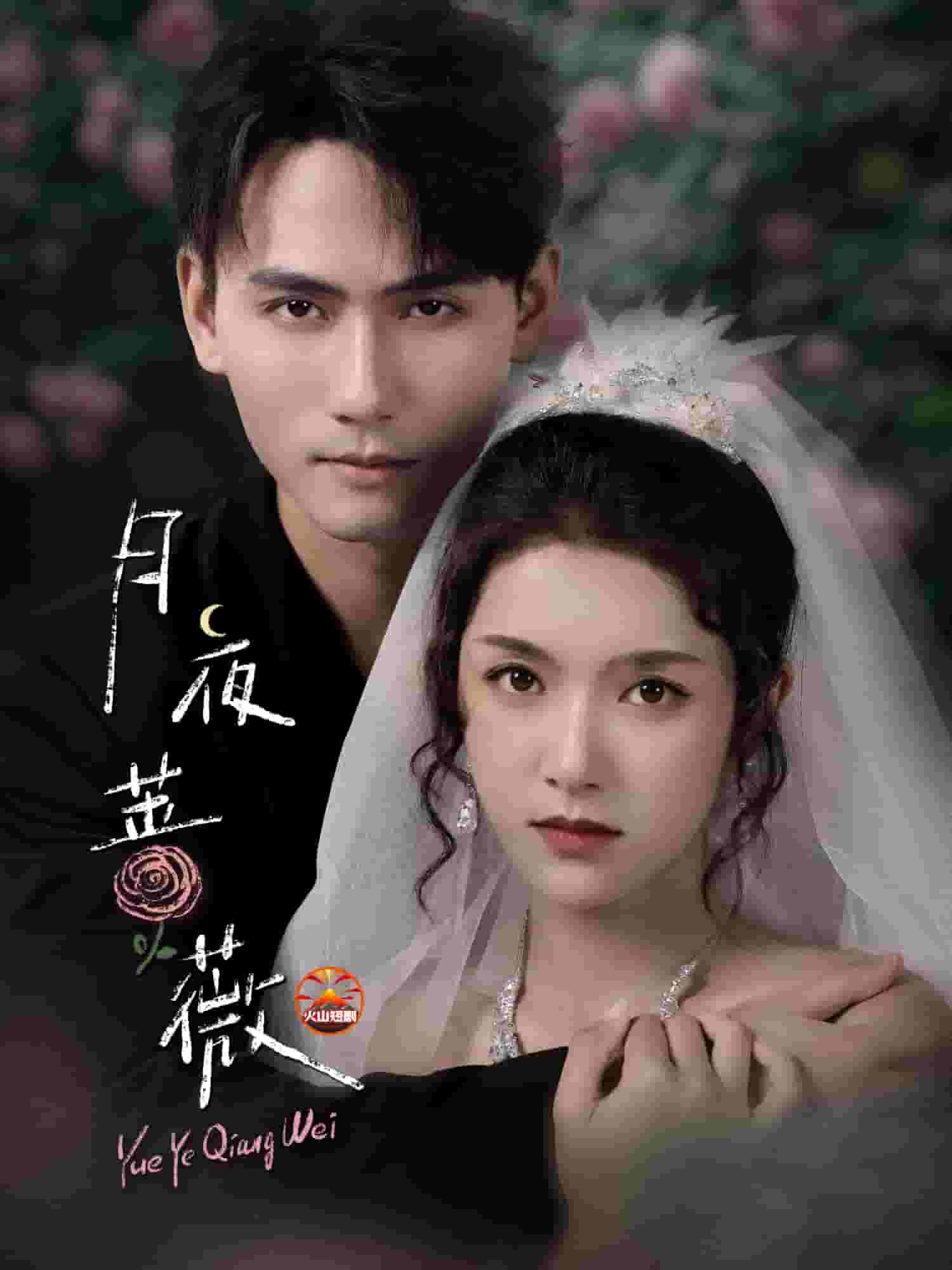 月夜蔷薇封面图