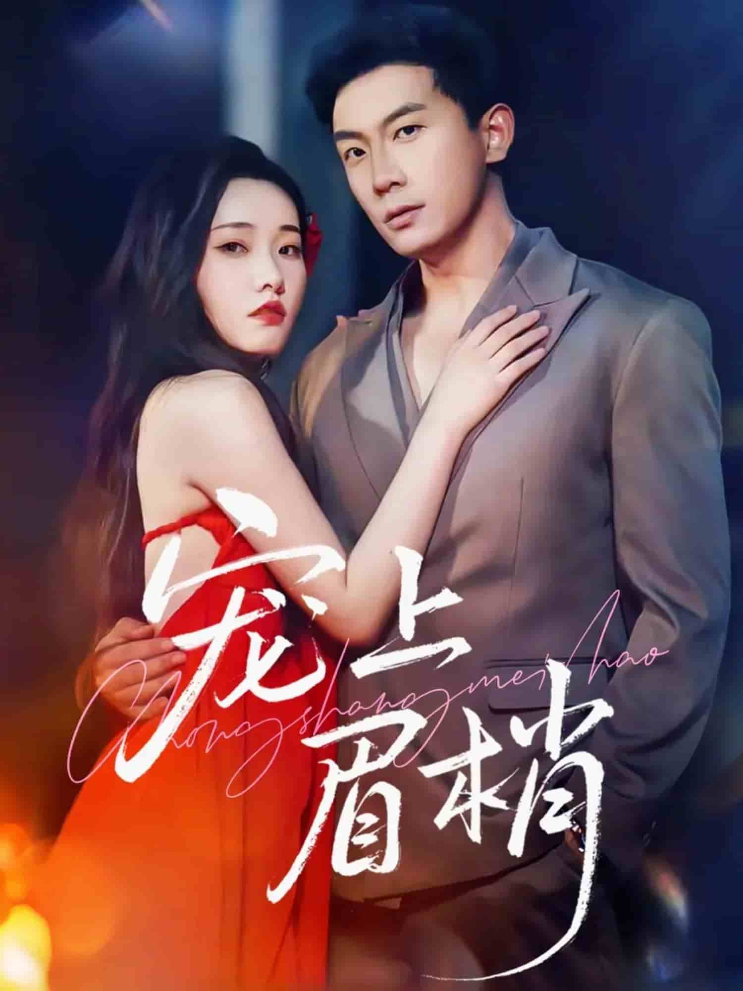 宠上眉梢封面图