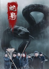 蛇影封面图