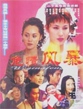 危情风暴封面图