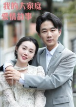 我的大家庭爱情故事封面图