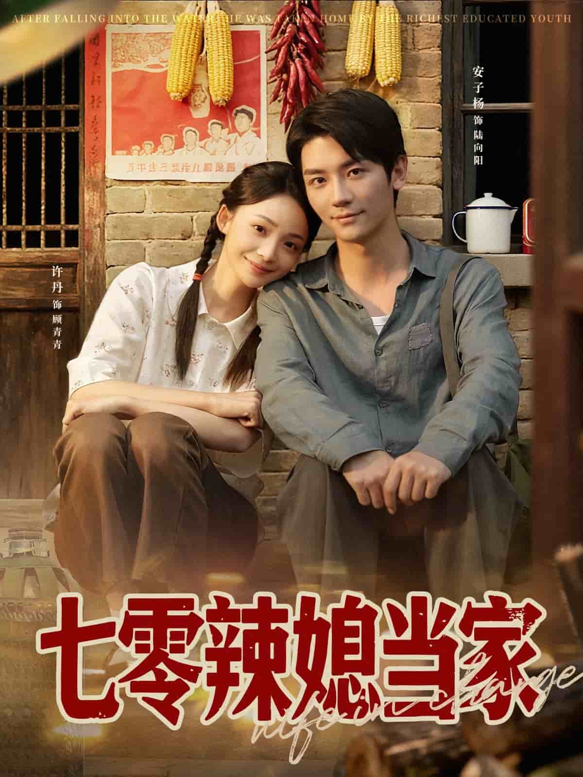 七零辣媳当家封面图