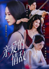 亲爱的情敌封面图