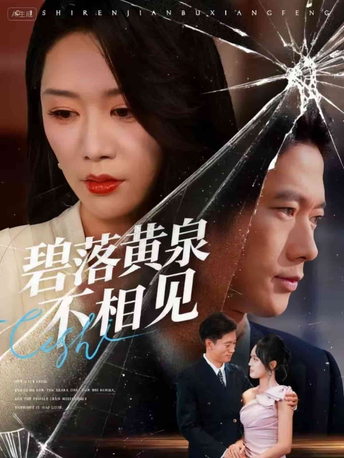 碧落黄泉不相见封面图