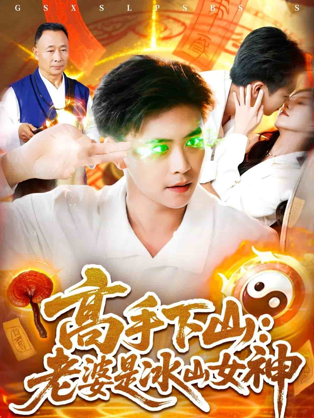 高手下山老婆是冰山女神封面图