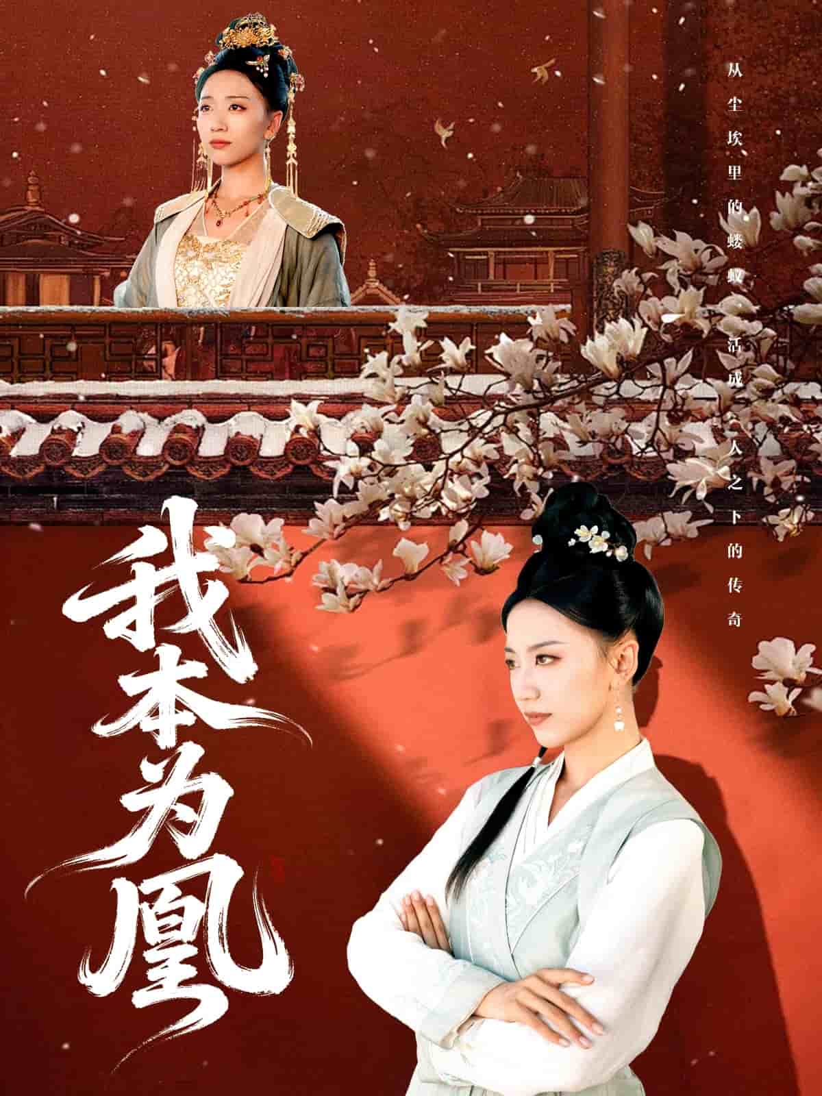 我本为凰封面图