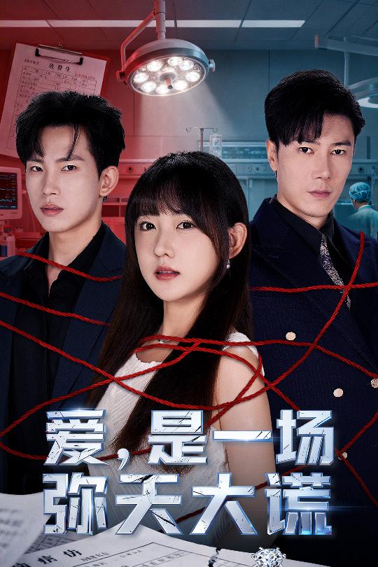 爱是一场弥天大谎封面图