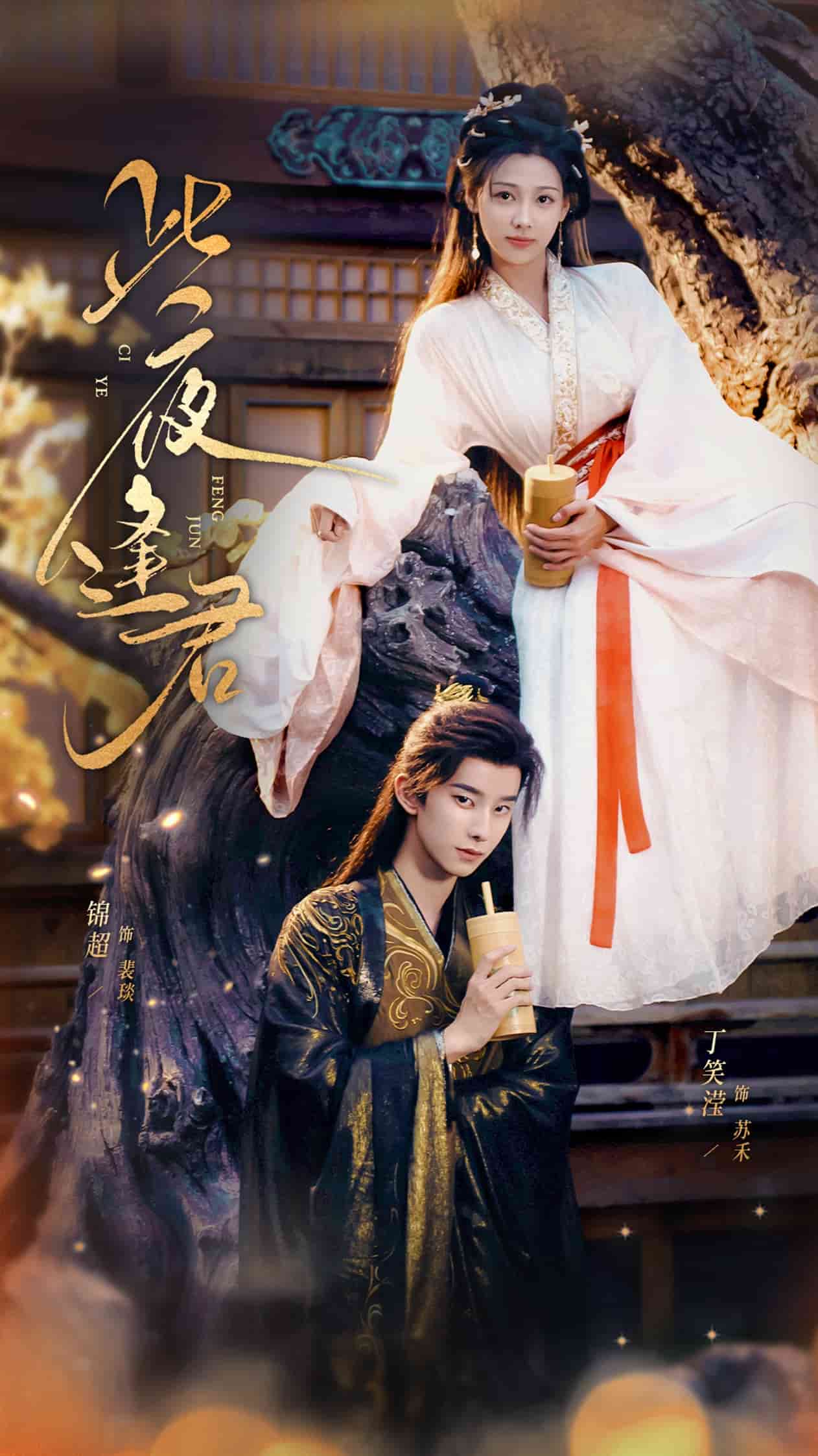 此夜逢君封面图