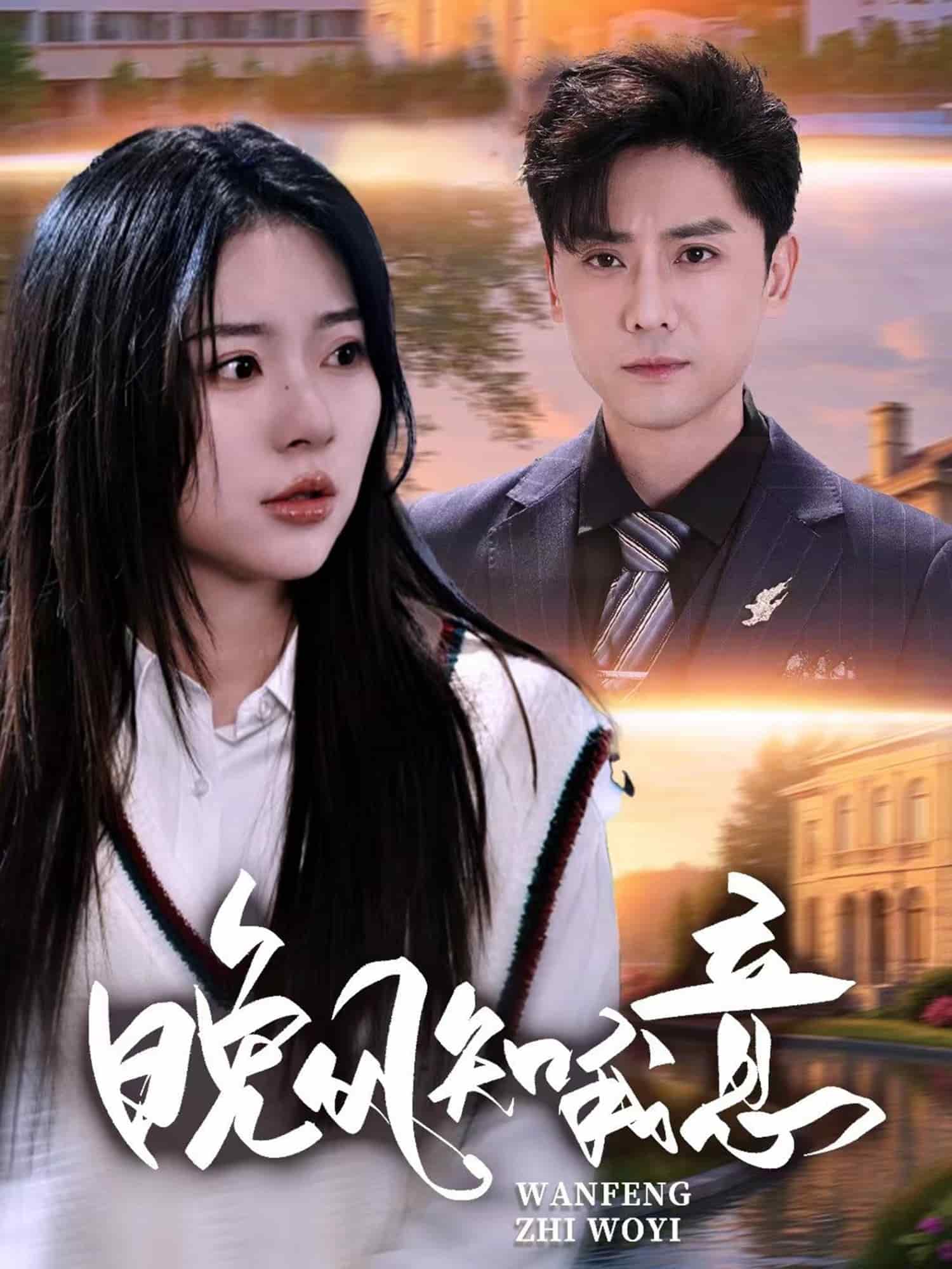 晚风知我意封面图