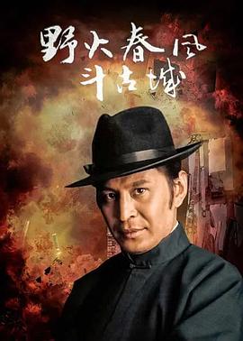 野火春风斗古城2005封面图