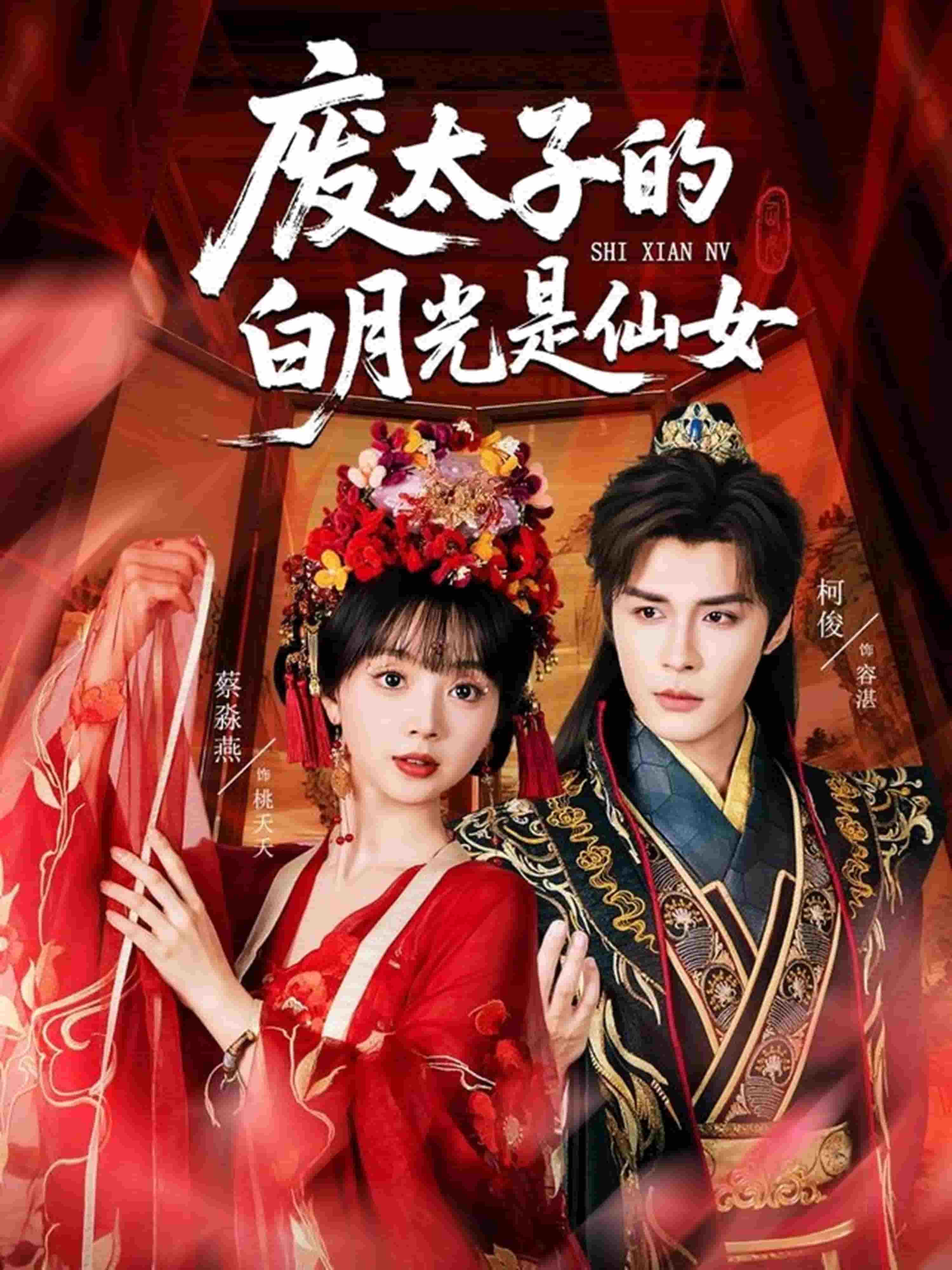 废太子的白月光是仙女封面图