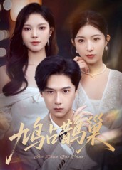 顶流夫人的致命陷阱封面图