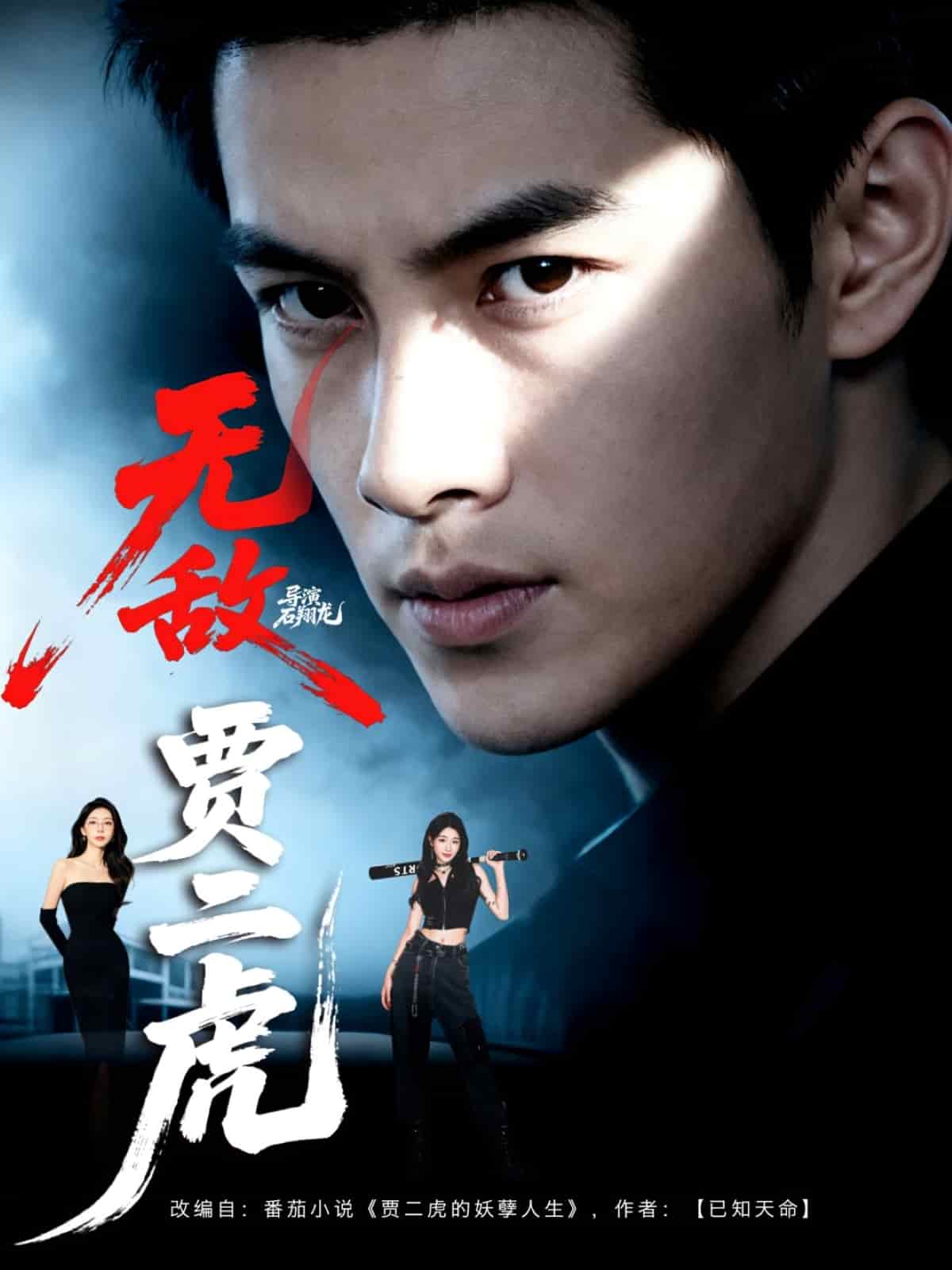 无敌贾二虎封面图