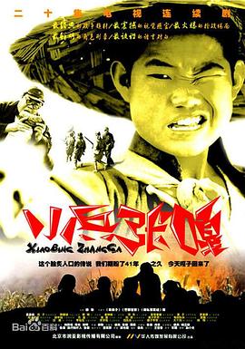 小兵张嘎2004封面图