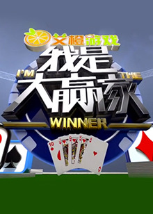 我是大赢家2017封面图