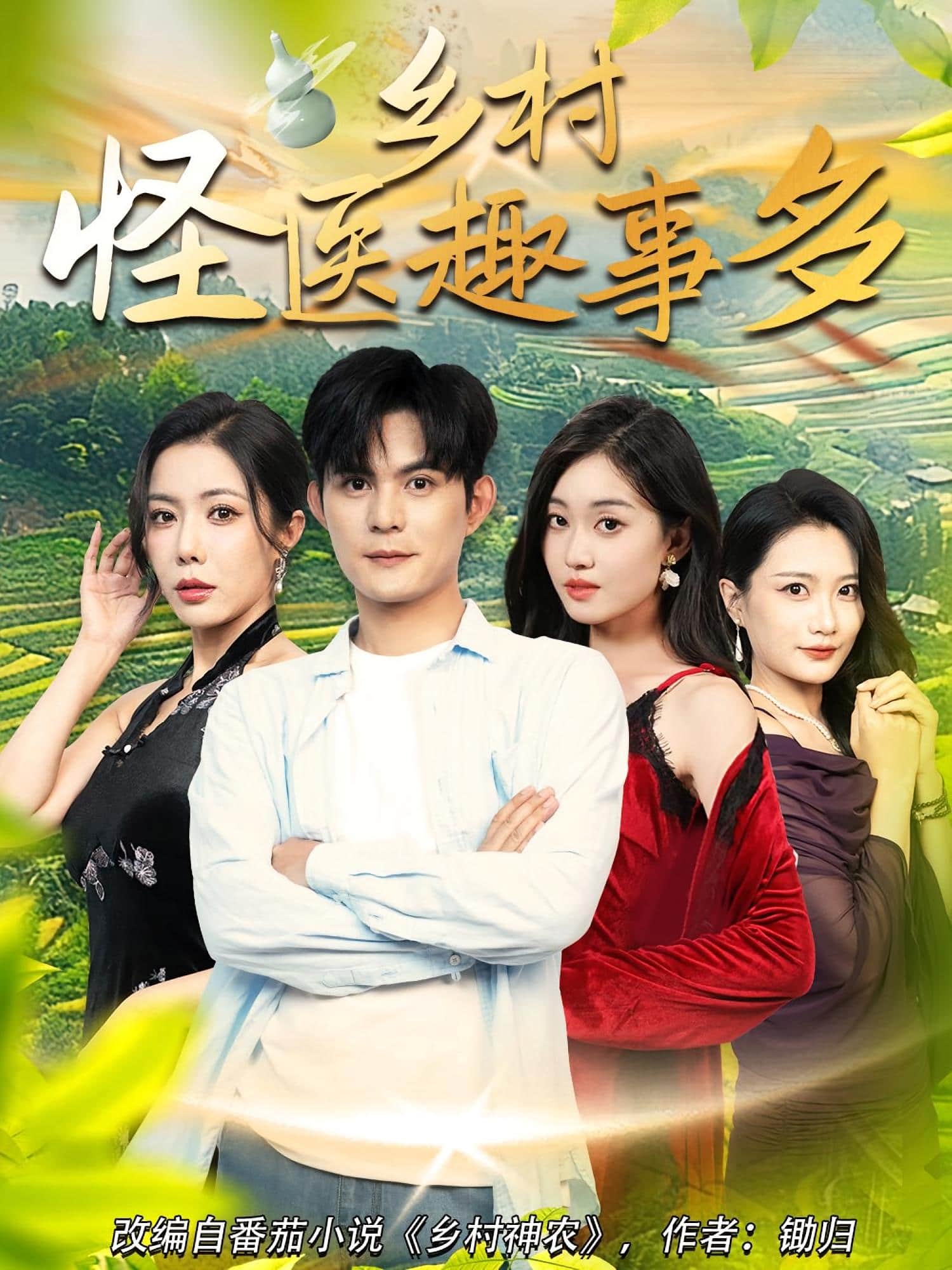 乡村怪医趣事多封面图