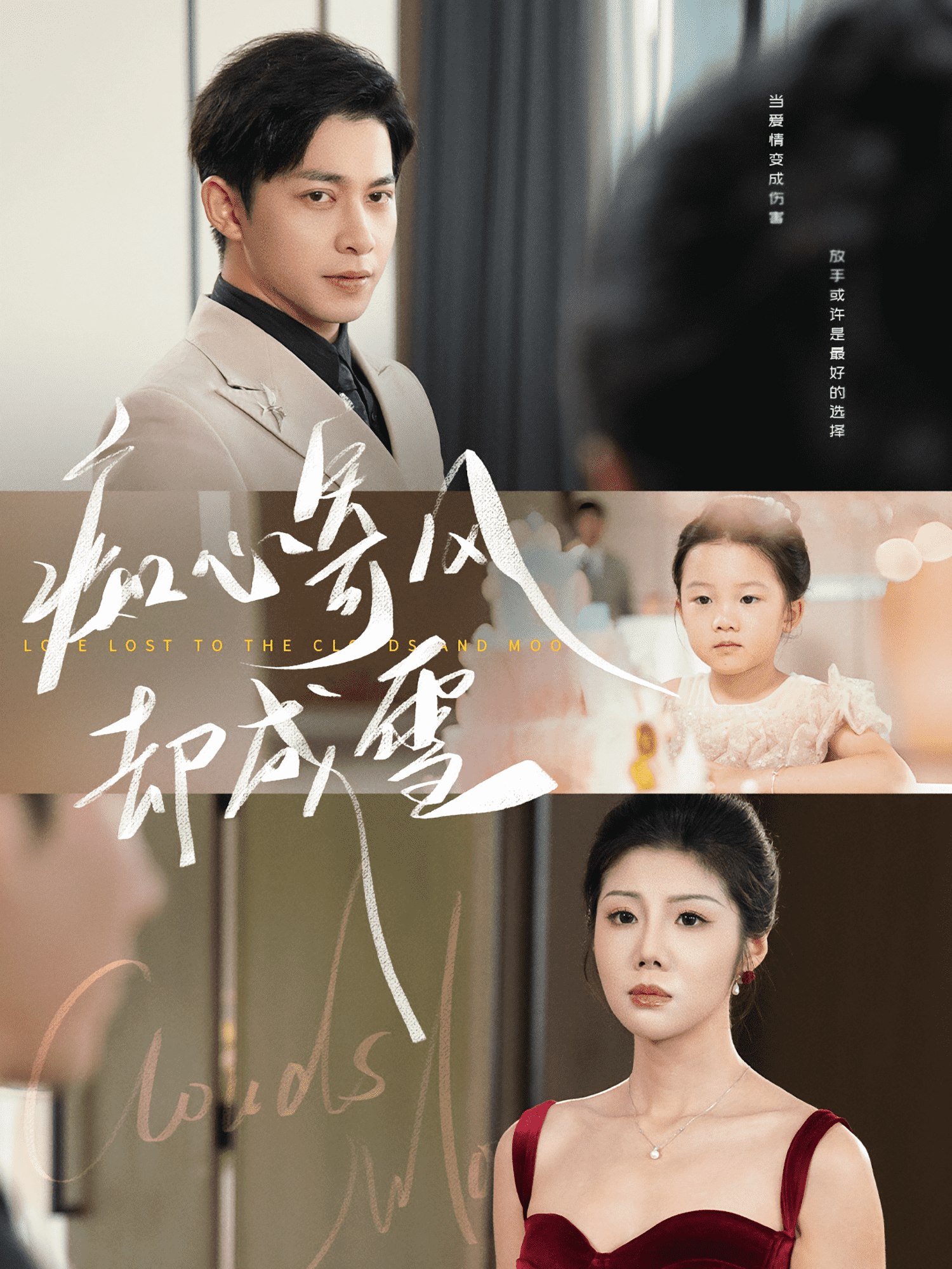 痴心寄风却成雪封面图