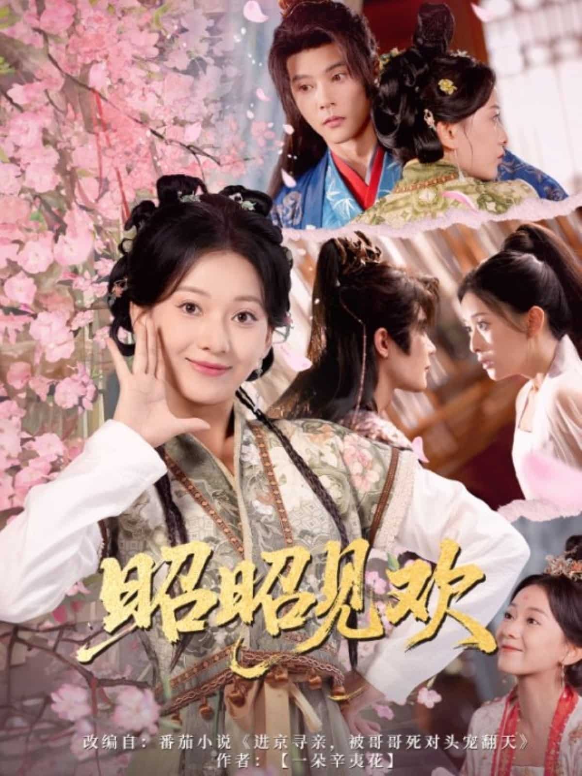 昭昭见欢封面图