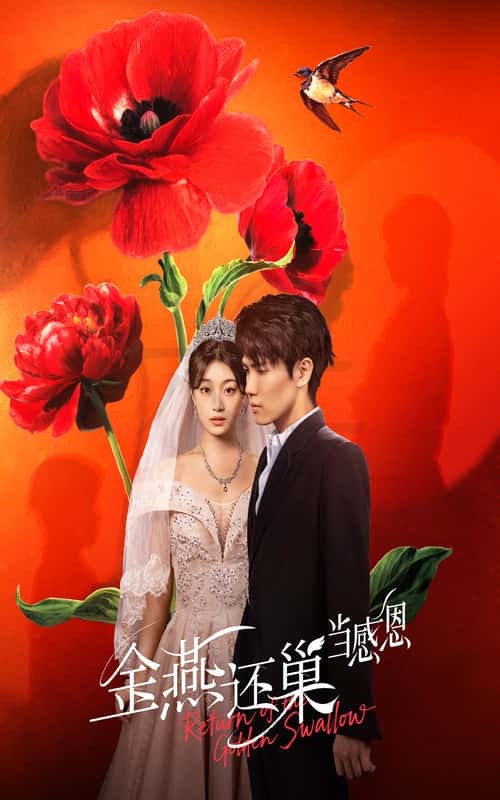 金燕还巢当感恩封面图