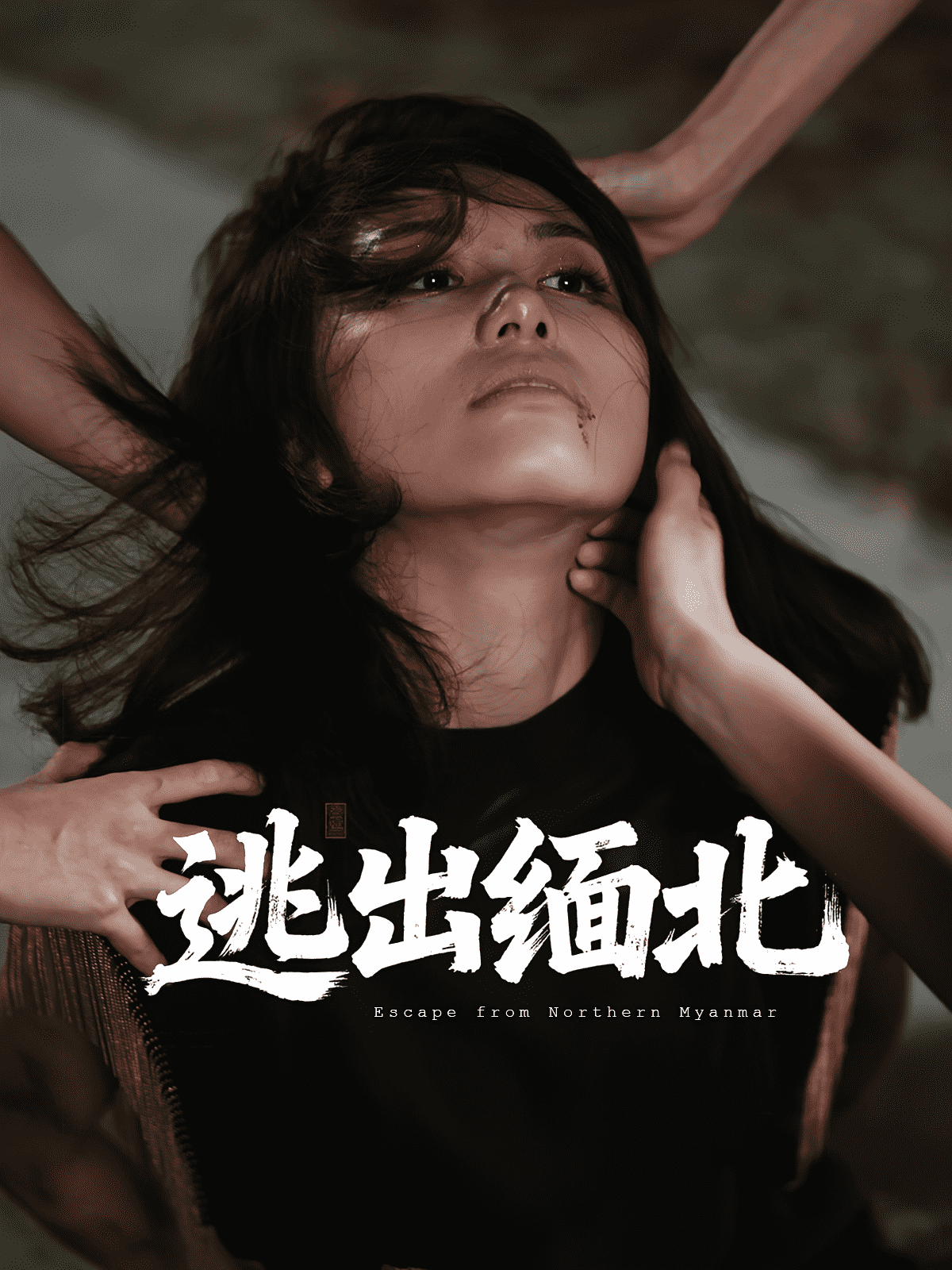 逃出缅北封面图