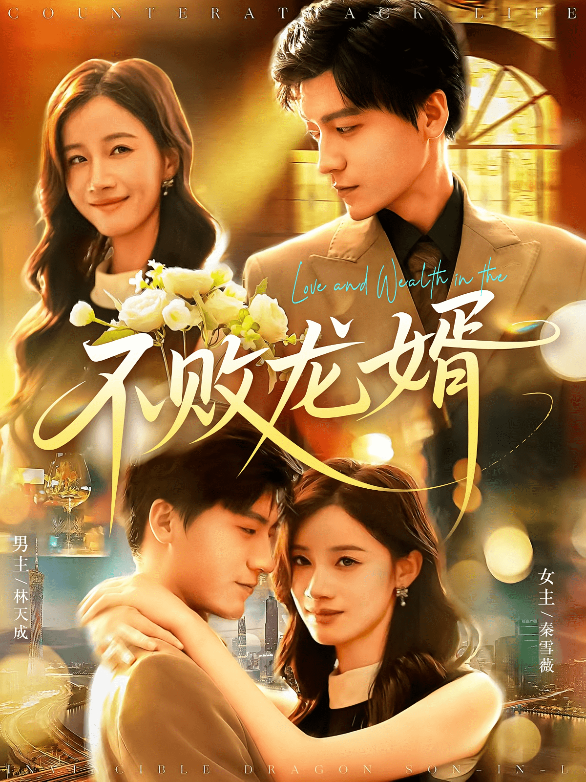 不败龙婿封面图