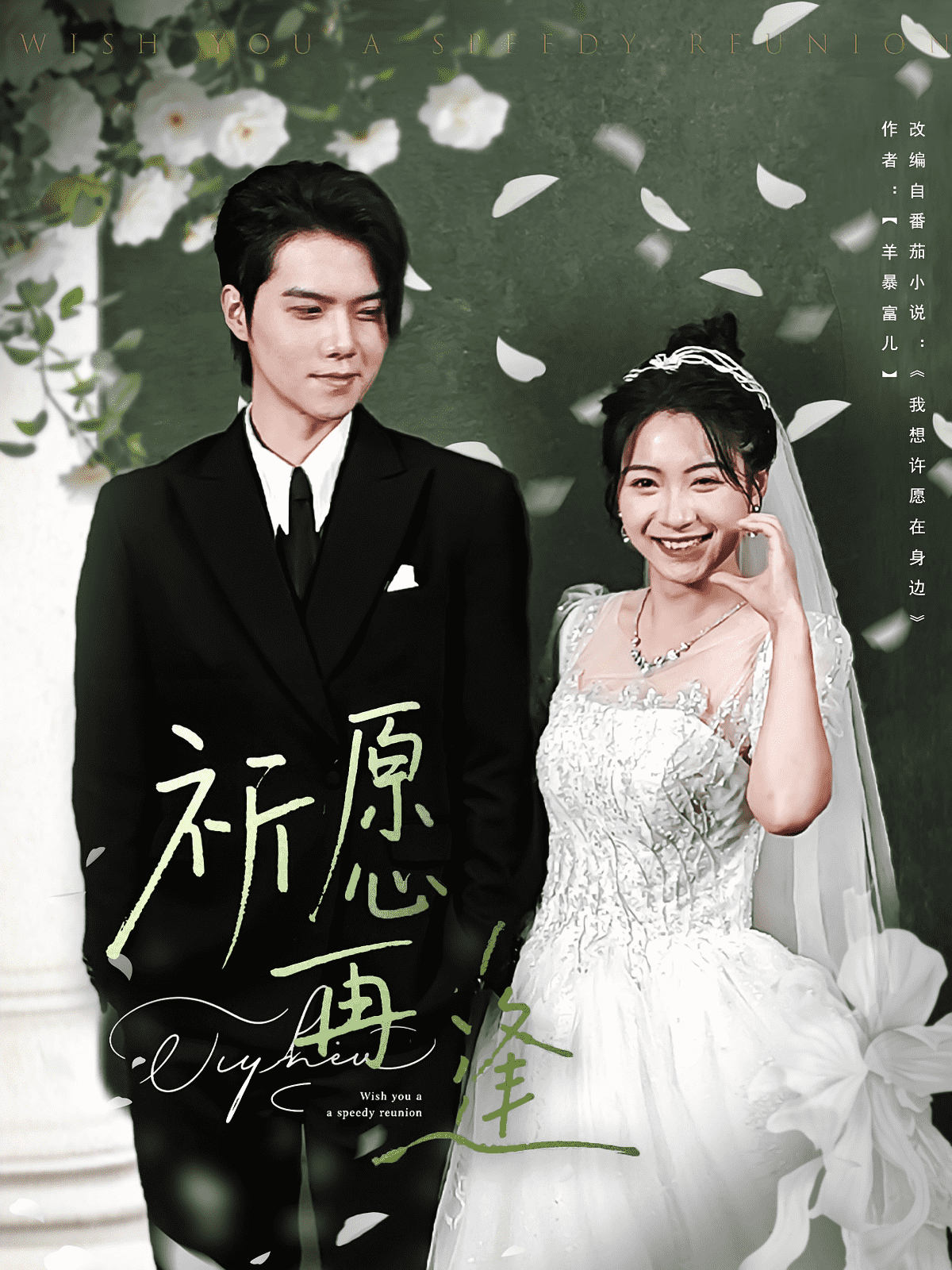 祈愿再逢封面图