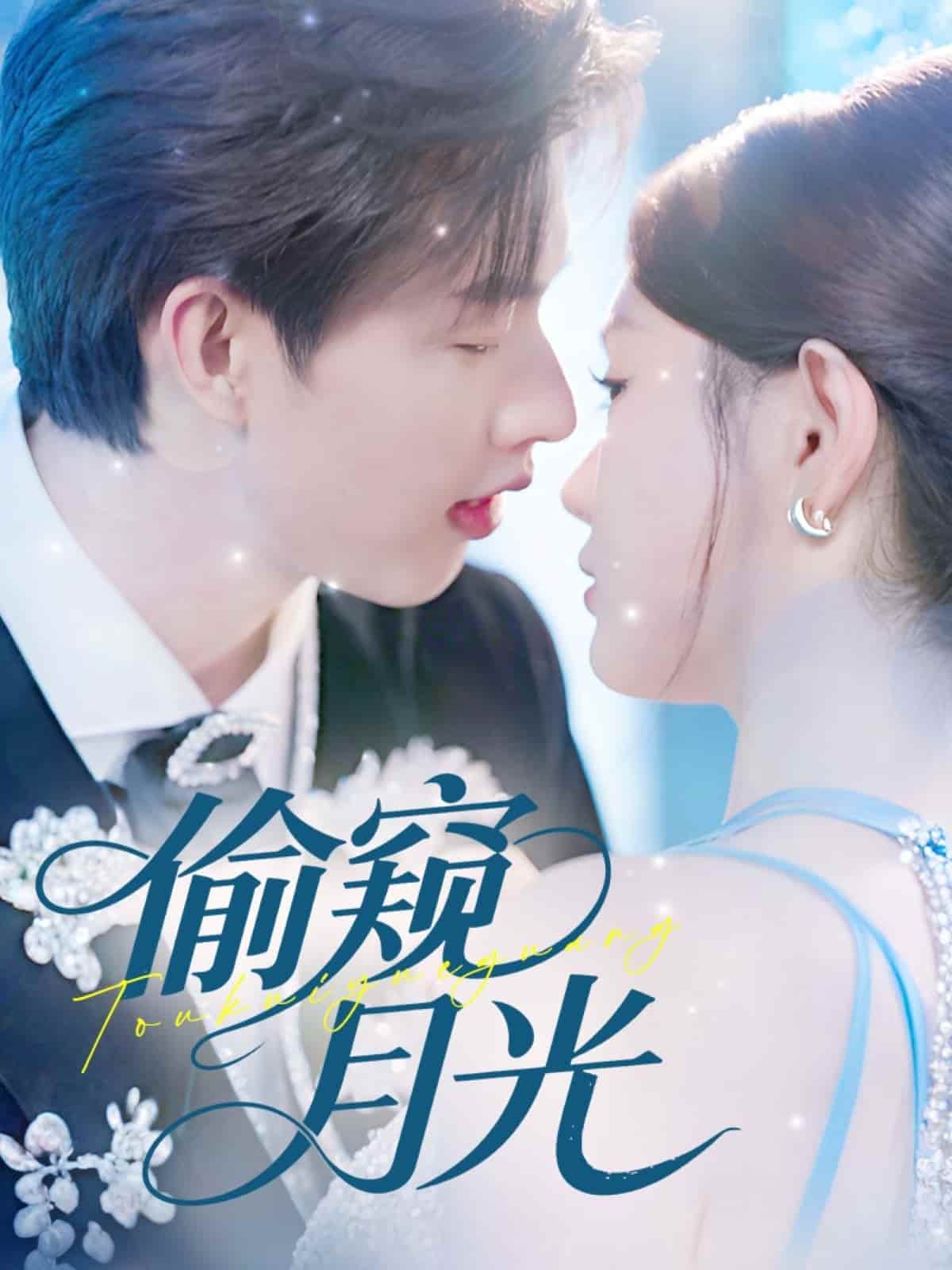 偷窥月光封面图