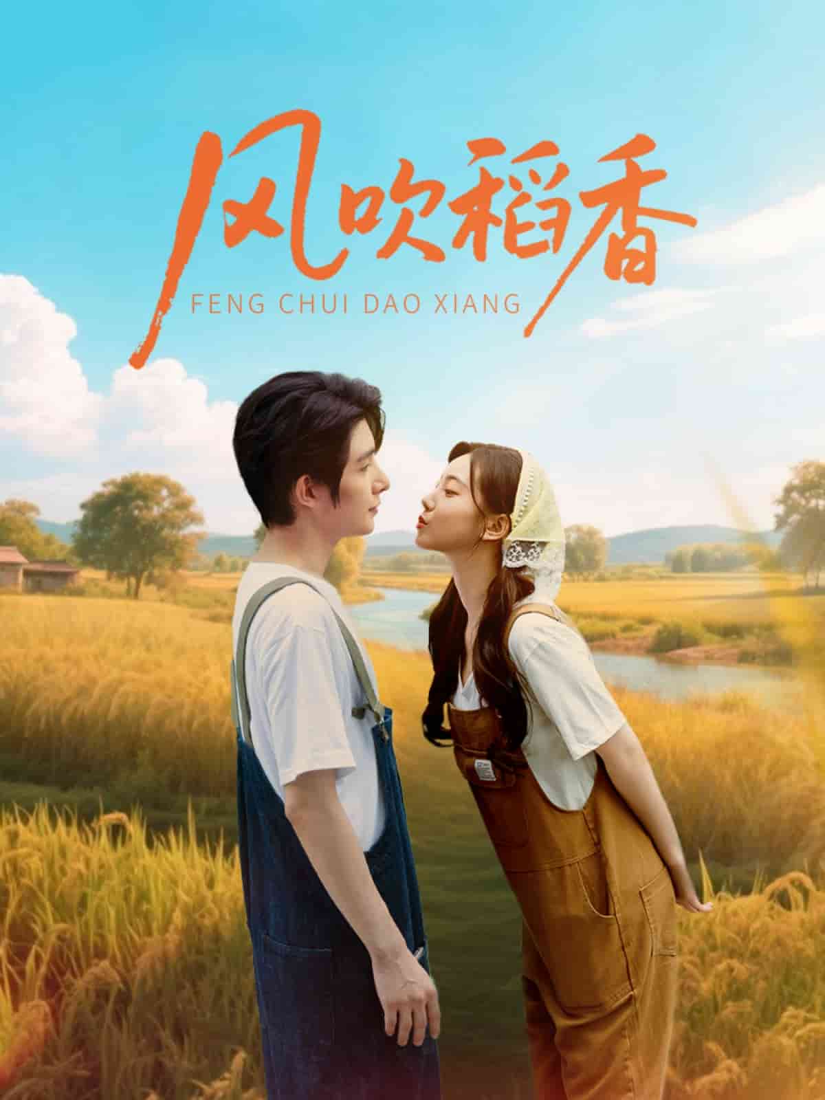 风吹稻香封面图