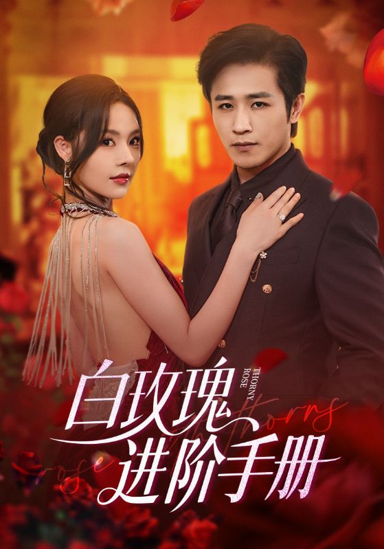 白玫瑰进阶手册封面图