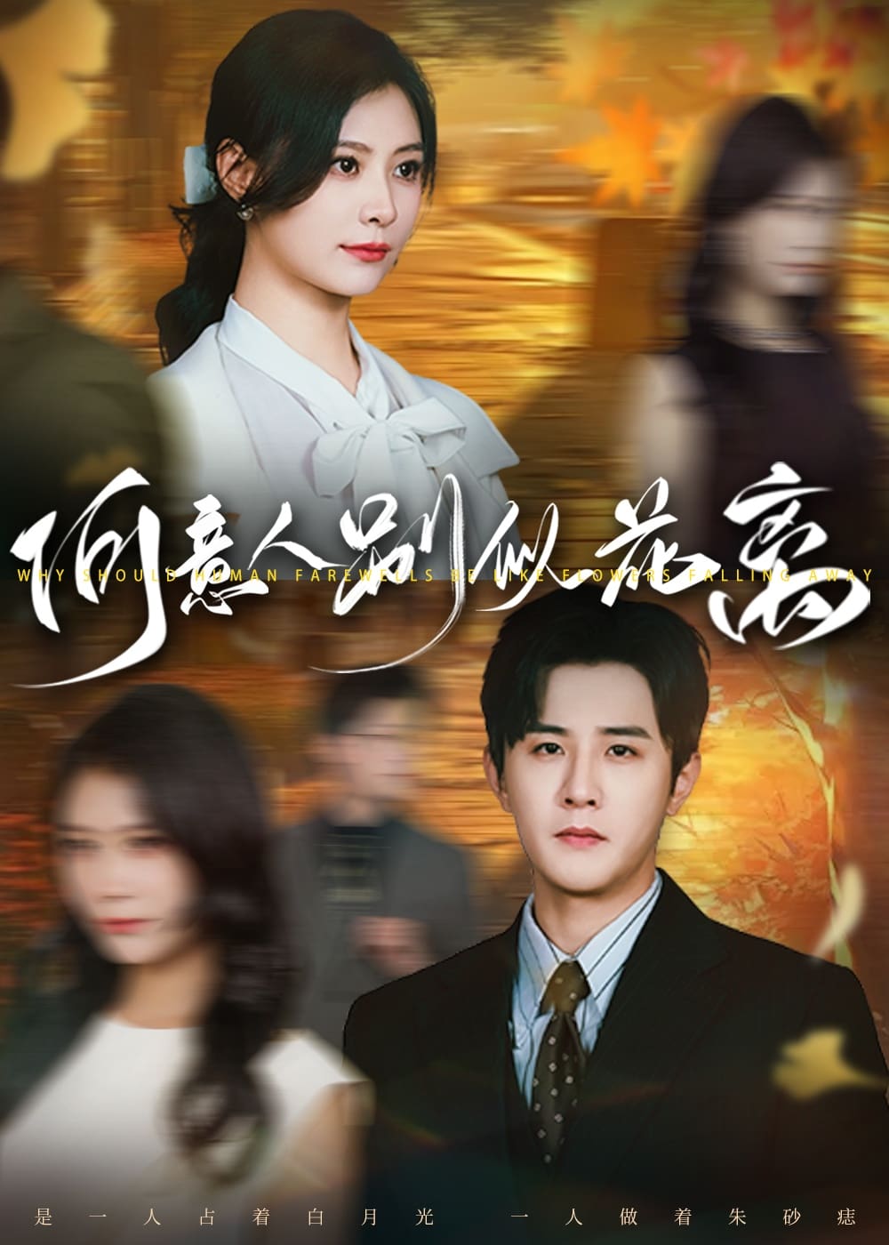 何意人别似花离封面图