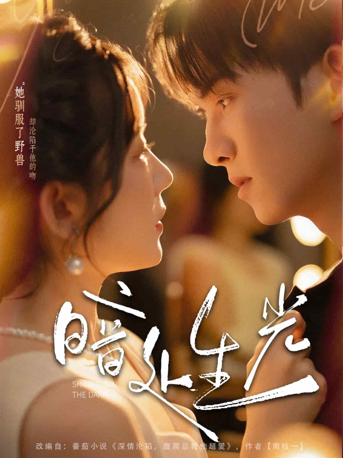 暗处生光封面图