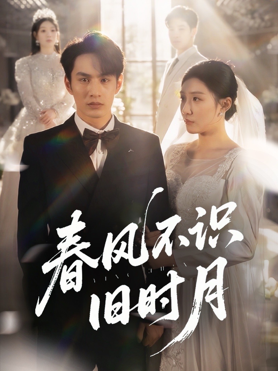 春风不识旧时月封面图