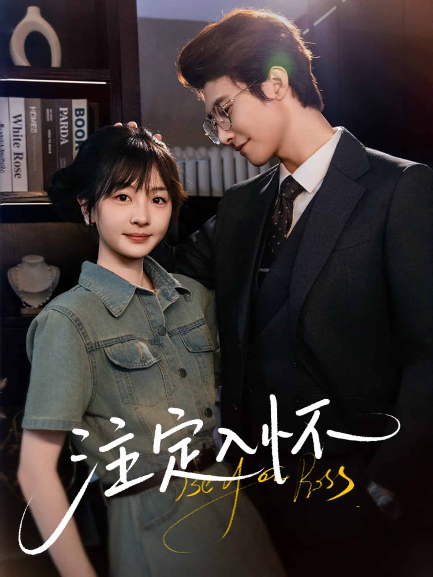 注定入怀封面图