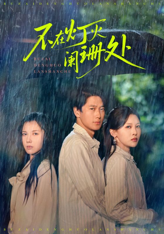 不在灯火阑珊处2025封面图