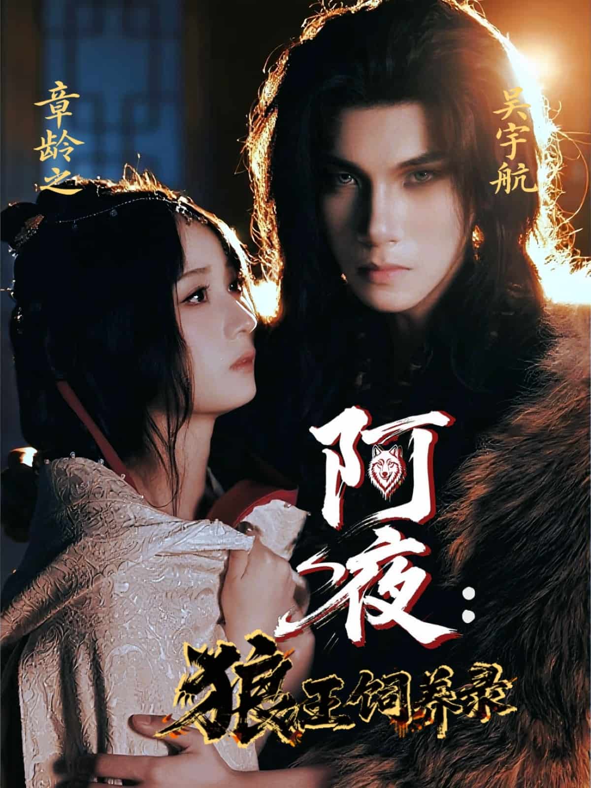 阿夜狼王饲养录封面图