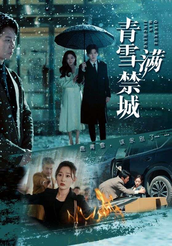 青雪满禁城封面图