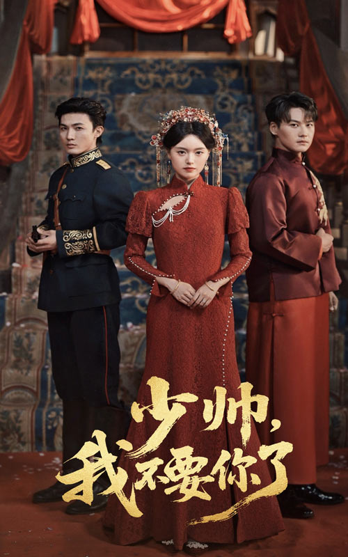 少帅我不要你了封面图