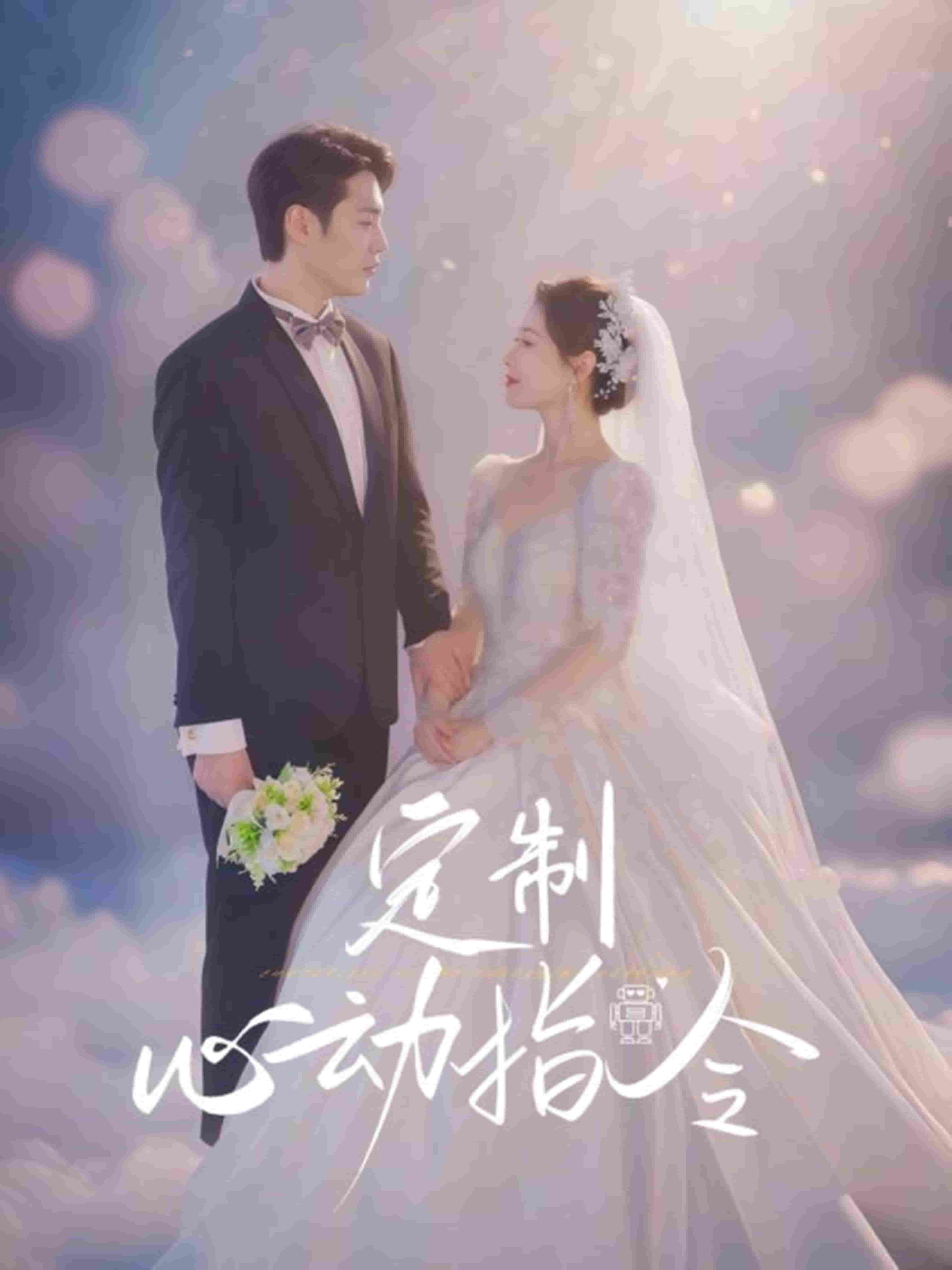 定制心动指令封面图