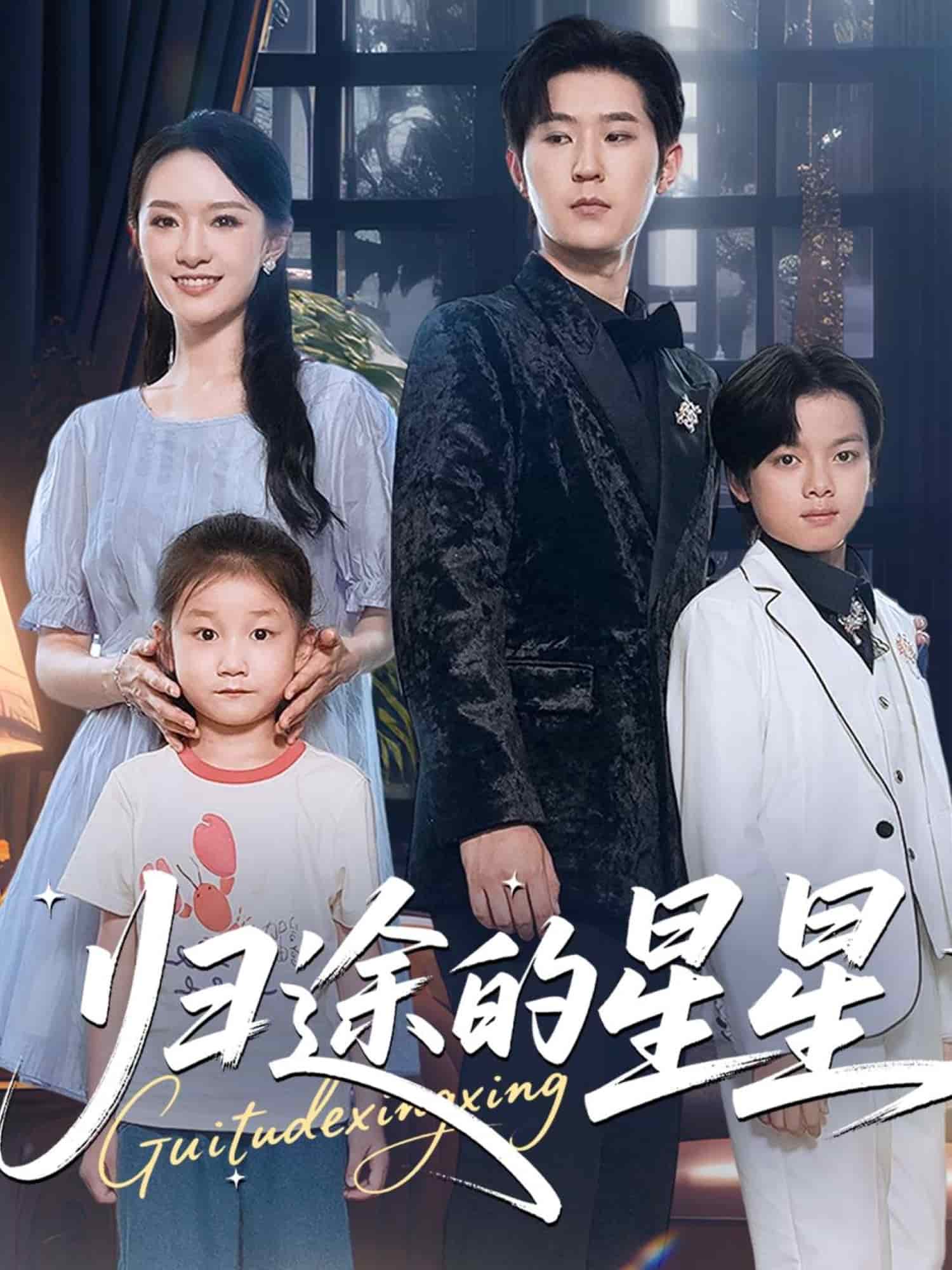 归途的星星封面图