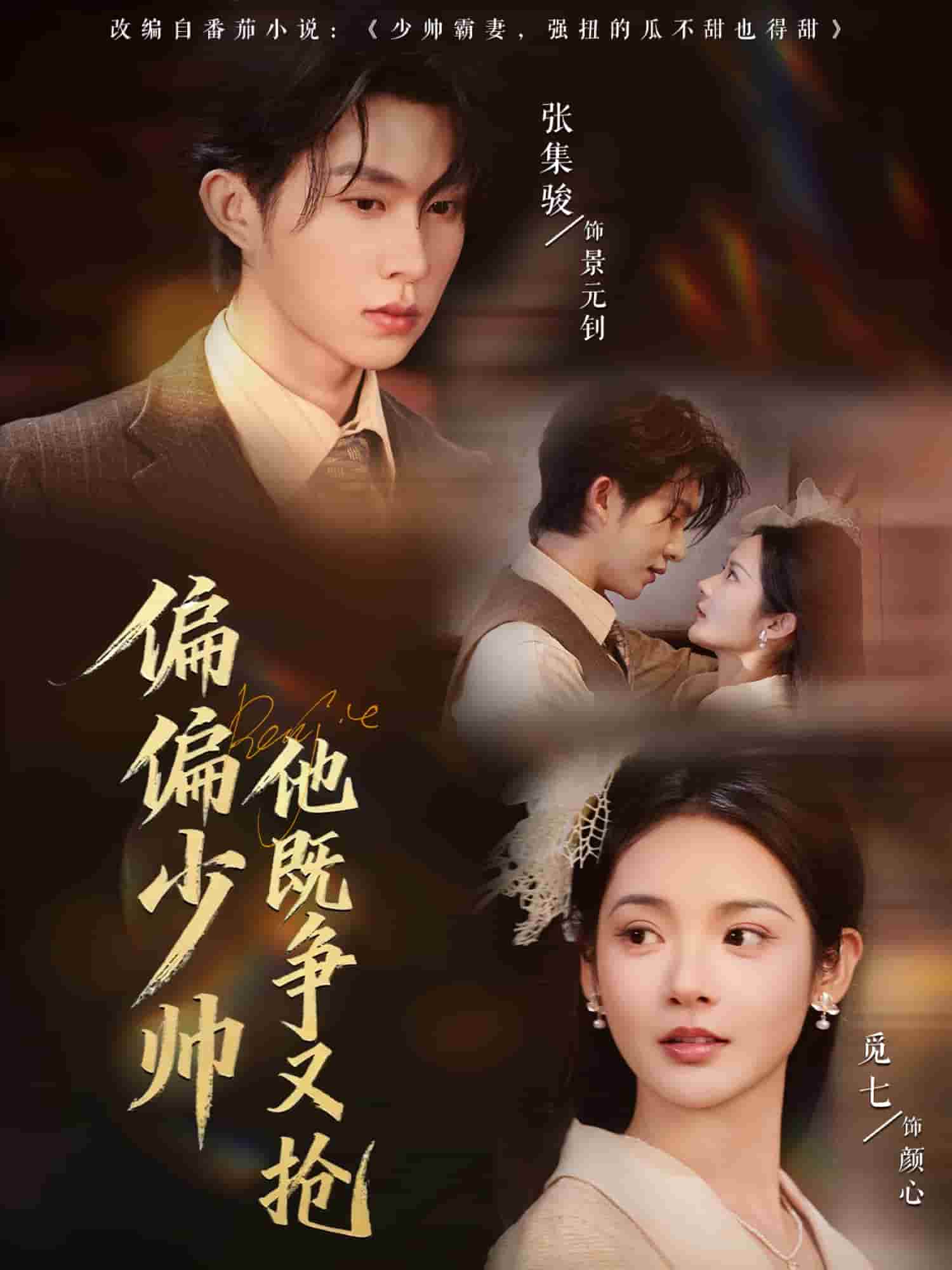 偏偏少帅他既争又抢封面图