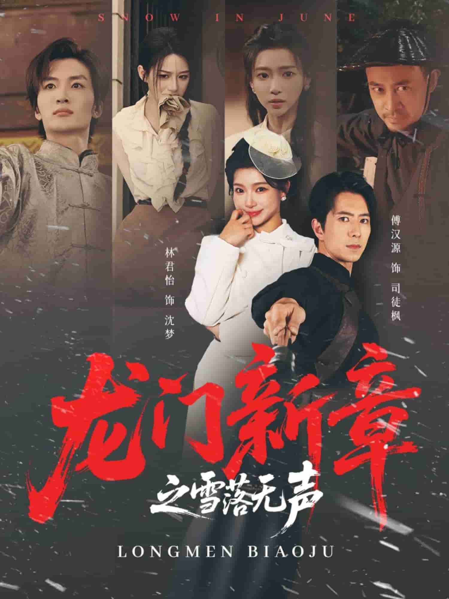 龙门新章之雪落无声封面图