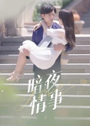 暗夜情事封面图