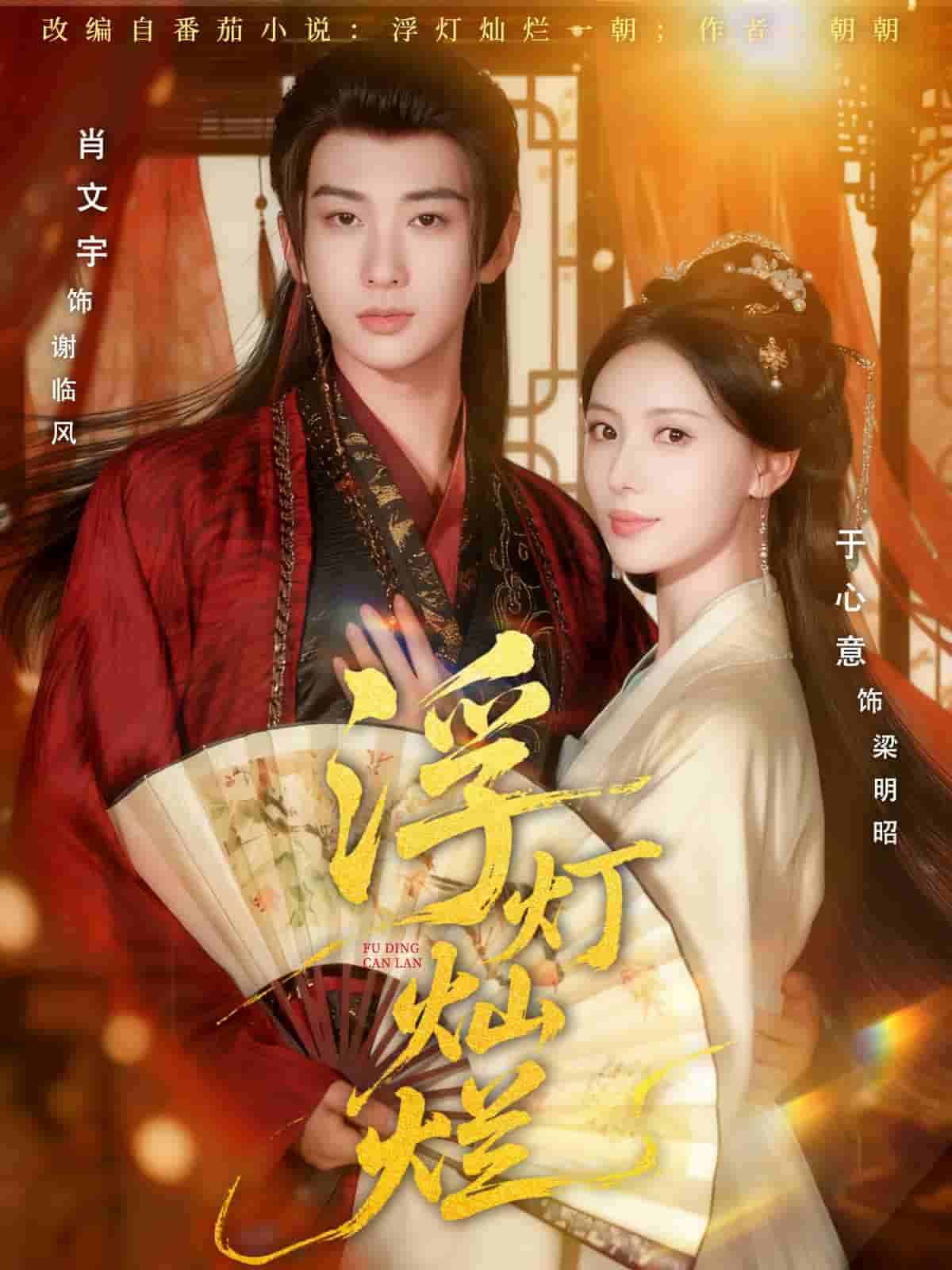 浮灯灿烂封面图