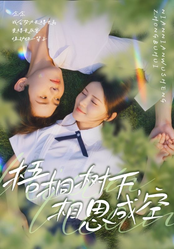 梧桐树下，相思成空封面图