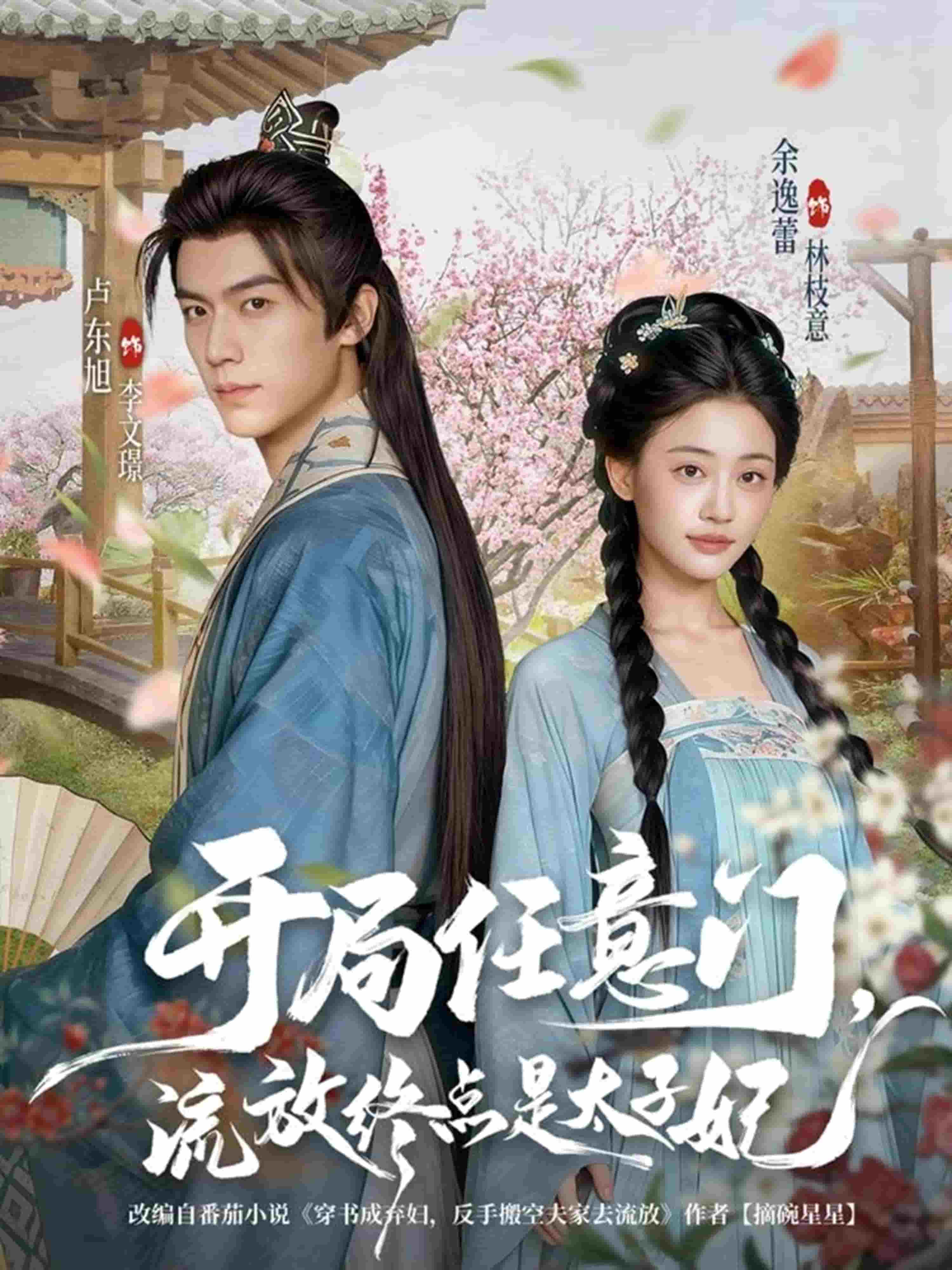 开局任意门流放终点是太子妃封面图