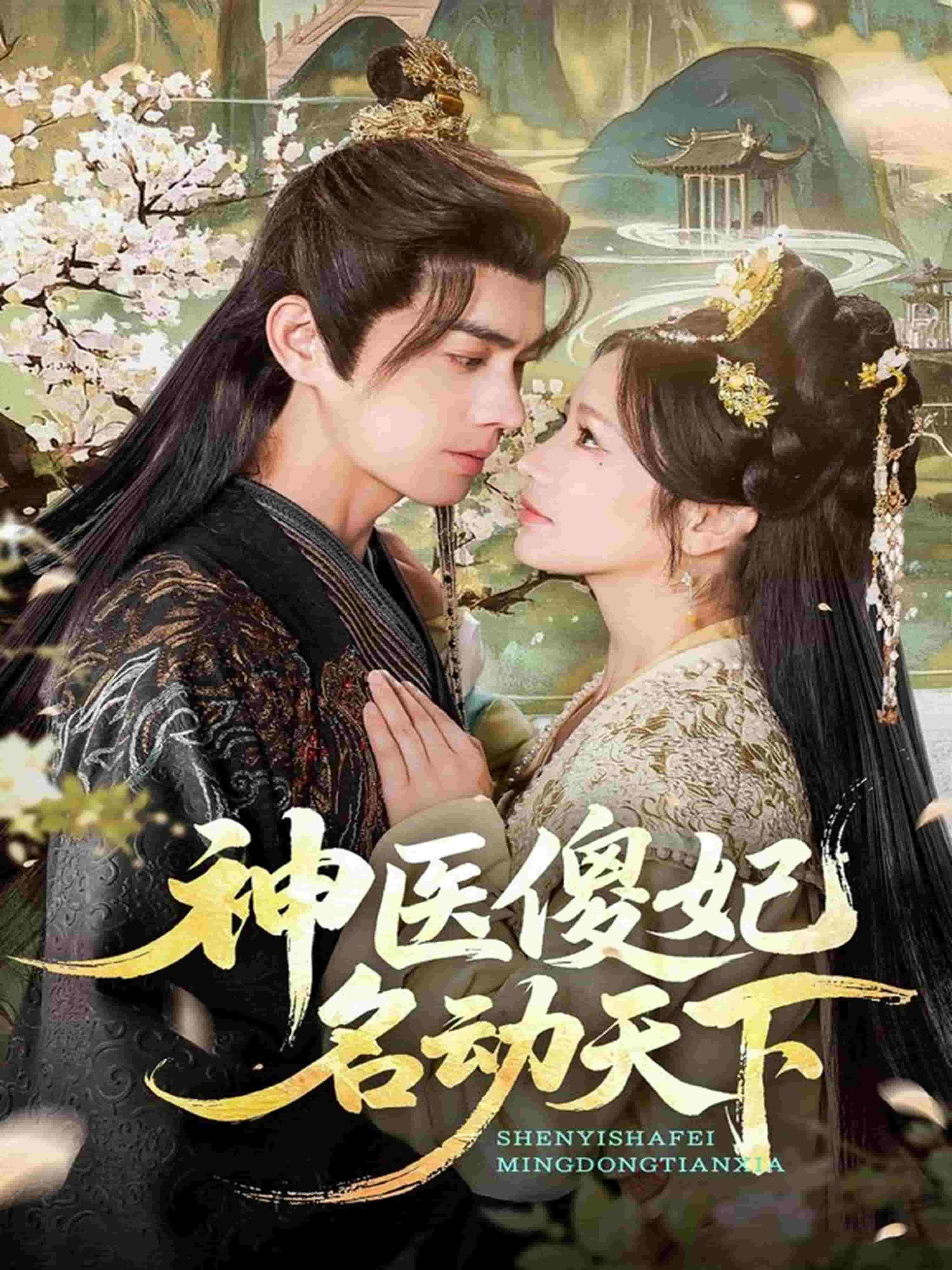 神医傻妃名动天下封面图